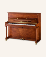SCHULZE POLLMANN S 110A Mahogany Gloss