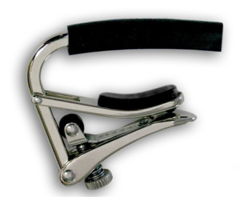 SHUBB E-Guitar 7.25" radius nickel C4 - SHUBB E-Guitar 7.25" radius nickel C4