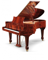 SCHULZE POLLMANN M 197 Mahogany Feather Gloss