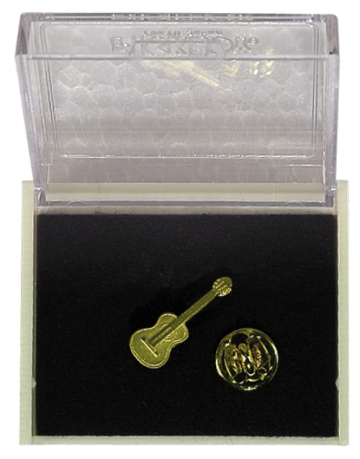GEWA Pins Guitar - GEWA Pins Guitar