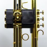 Dunlop НЕ82 Valve Protector