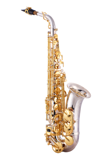 OVES A-X818SG - OVES A-X818SG