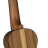 DIAMOND HEAD DU-350T Flamed Acacia - DIAMOND HEAD DU-350T Flamed Acacia
