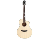 BULLFIGHTER DS-Civitcat Natural 