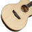 BULLFIGHTER DS-Civitcat Natural  - BULLFIGHTER DS-Civitcat Natural 