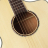BULLFIGHTER DS-Civitcat Natural  - BULLFIGHTER DS-Civitcat Natural 